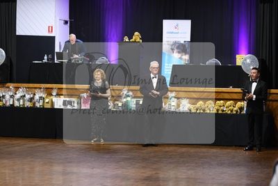 2024 night of the stars ball 0108.jpg