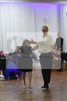 2024 DASA summer festival 0025.jpg