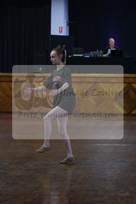 2024 DASA summer festival 0210.jpg