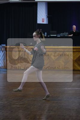 2024 DASA summer festival 0211.jpg