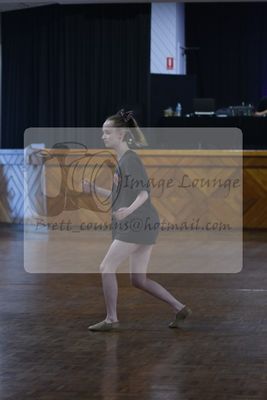 2024 DASA summer festival 0212.jpg