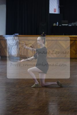 2024 DASA summer festival 0215.jpg