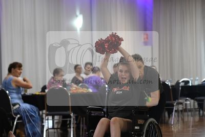 2024 DASA summer festival 0367.jpg