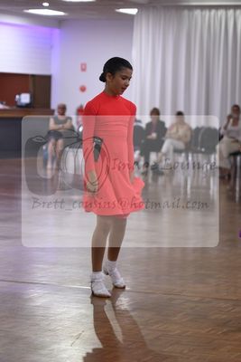 2024 DASA summer festival 0674.jpg