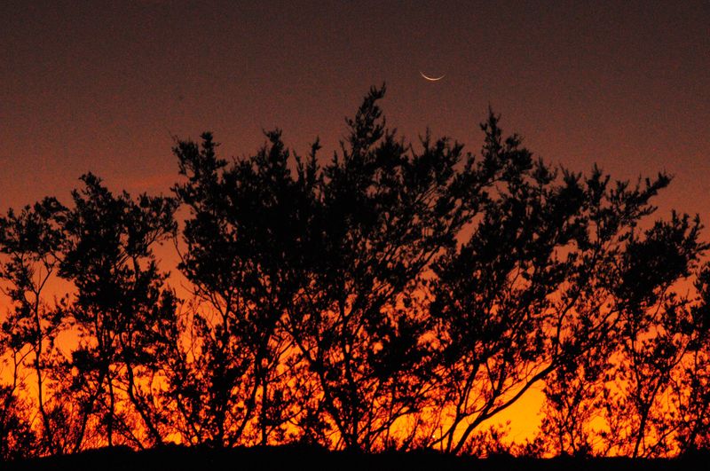 Sunrise 1.25 days before the eclipse - Part II