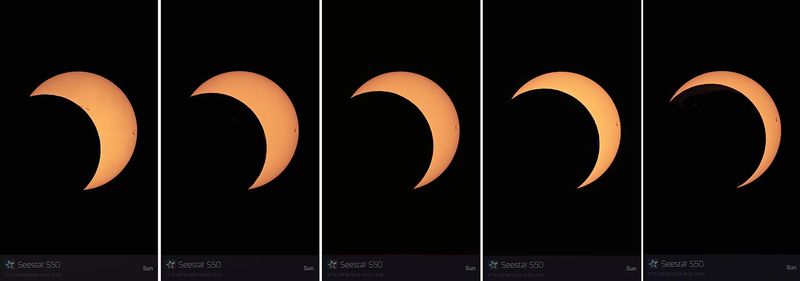 3 of 8 sequences