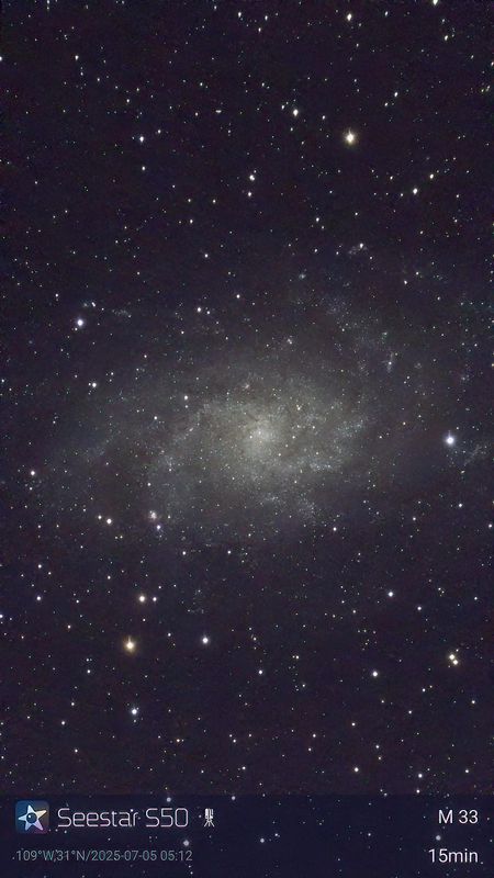 M33