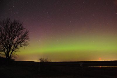 Aurora 20230323 (TSE_9051).jpg