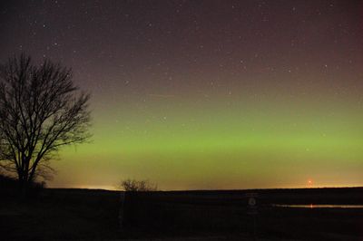 Aurora 20230323 (TSE_9052).jpg