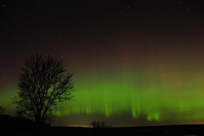 Aurora 20230323 - Mostly Green Rays