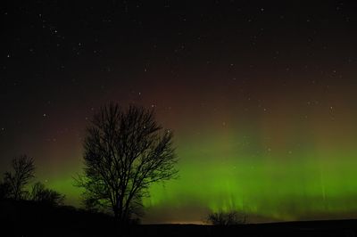 Aurora 20230323 (TSE_9075-SharpenAI-Focus).jpg
