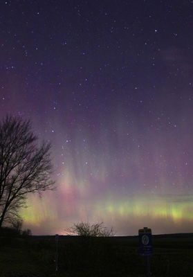 Aurora 20230323