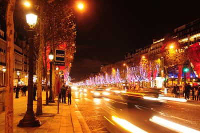 Champ de Elysees with Christmas Decorations