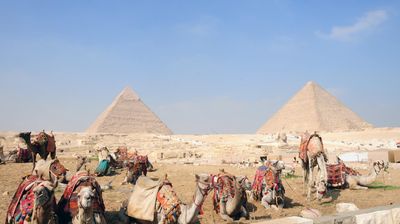 Khafre's (left) and Khufu's (right) Pyramids and the Camels