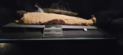 Mummy - Luxor Museum
