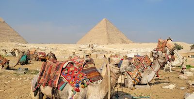 Camels with the Sphinx and Khafre (left) and Khufu (right) Pyramids