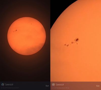SUN - 2024.02.22-09:27 - Sunspot Group AR3590