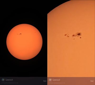 SUN - 2024.02.23-11:13 - Sunspot Group AR3590