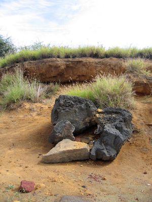 Volcanic Rocks at South Point