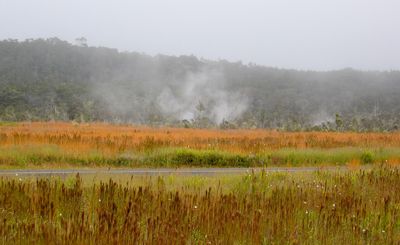 Volcanic Steam