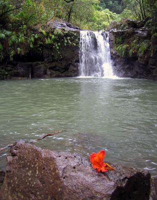Waikamoi Falls Along the Road to Hana (mile marker 10)