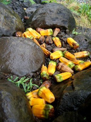 Seven Sacred Pools