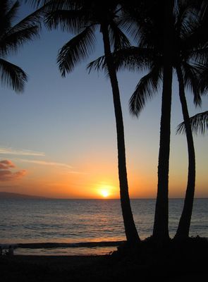 Hawaii B - December 2006 868.jpg