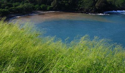 Hawaii B - December 2006 890 - Crop.jpg