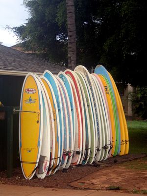 Surf Boards