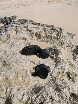 Black Lava Stones on a Beach