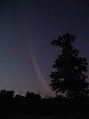 g13/97/993997/3/174697795.d137e8e3.JPEG