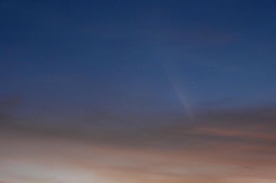 Comet T-Atlas - Mostly Tail Here