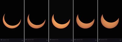 5 of 8 sequences