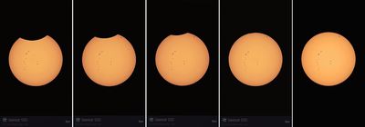 8 of 8 sequences