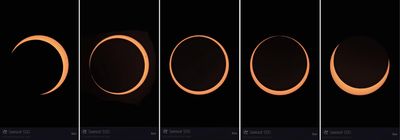 4 of 8 sequences