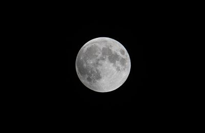 Total Lunar Eclipse - 2025 MAR 14 - 4:41