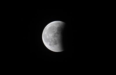 Total Lunar Eclipse - 2025 MAR 14 - 8:26