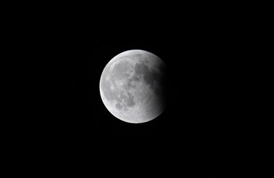 Total Lunar Eclipse - 2025 MAR 14 - 8:40