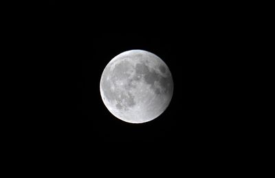 Total Lunar Eclipse - 2025 MAR 14 - 8:55