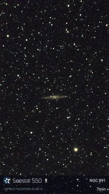 NGC891