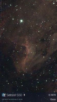 IC5070 - Pelican