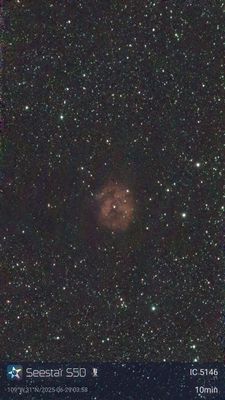 IC5146