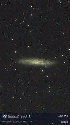 NGC253