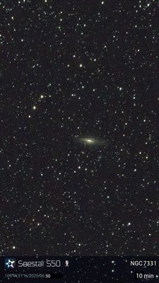 NGC 7331