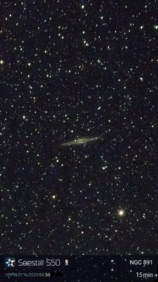 NGC891