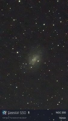 NGC300