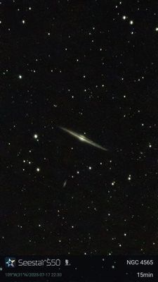 NGC4565