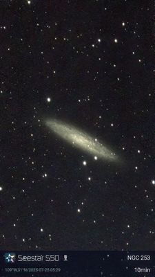 NGC253
