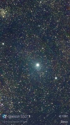 IC1287