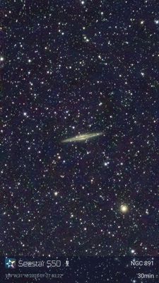 NGC891